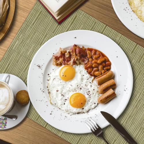 KKTECH Placemats Set of 6, Washable Non-slip Heat Insulation Woven Vinyl Place Mats for Table, Elegant Table Mats for Kitchen and Dining Room, Perfect for Home Decor (18"x12")